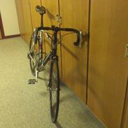 Trek 1200