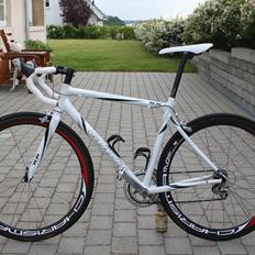 Giant TCR WHITE PEARL
