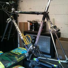 Colnago tecnos competition
