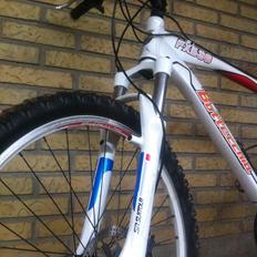 Bottecchia FX 530 2010 STJÅLET