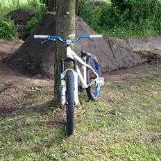NS Bikes suburban limited pro edition 2008