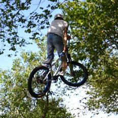 NS Bikes suburban limited pro edition 2008