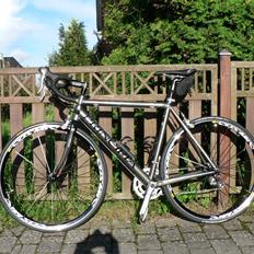 Principia Evolution SX