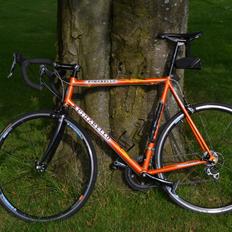 Pinarello Galileo