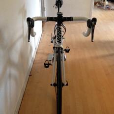 Giant TCR COMPOSITE 3