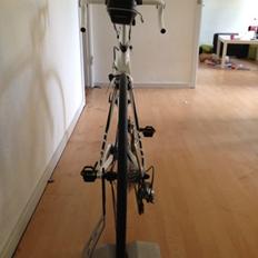 Giant TCR COMPOSITE 3