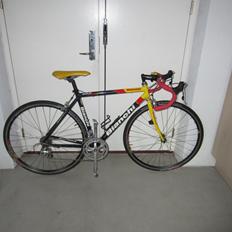 Bianchi Gold Race Team