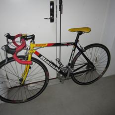 Bianchi Gold Race Team