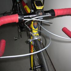 Bianchi Gold Race Team