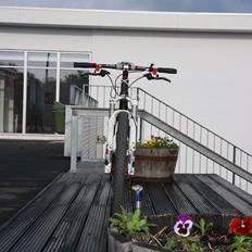 On-One Carbon XC Whippet *Kig marked*