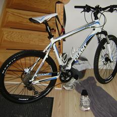 Giant Talon 2 disc 2011