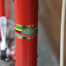 No-Name Ripty sport