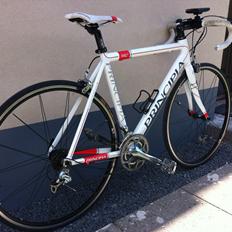 Principia RSLe