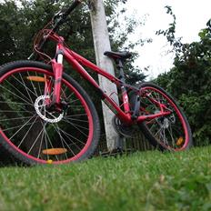 Specialized Hardrock Sport Comp 2009