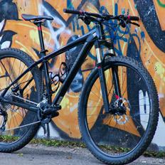 Specialized Carve Expert 29