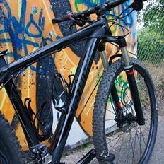 Specialized Carve Expert 29