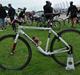 Nishiki Hybrid Comp