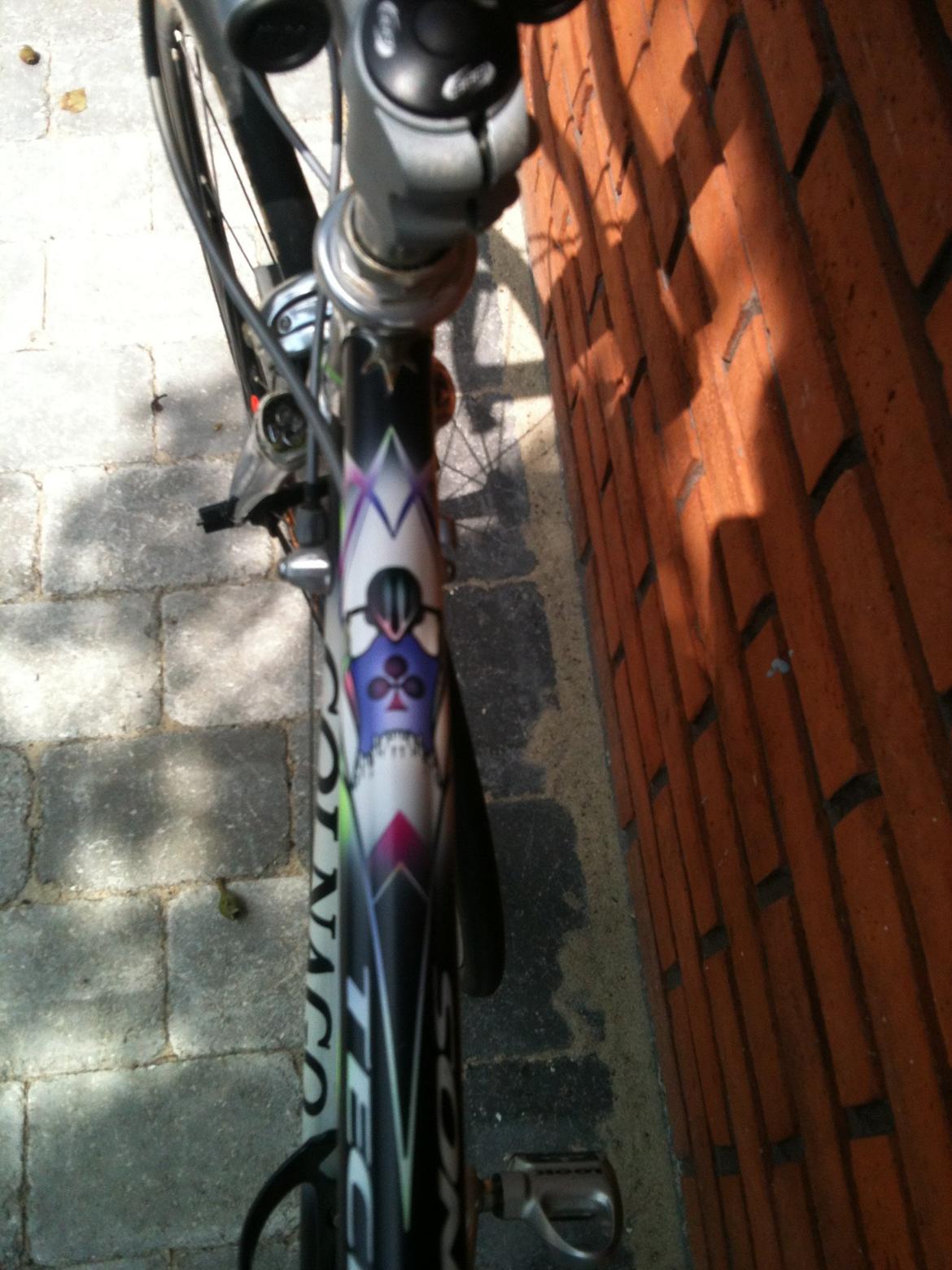 Colnago tecnos competition billede 7