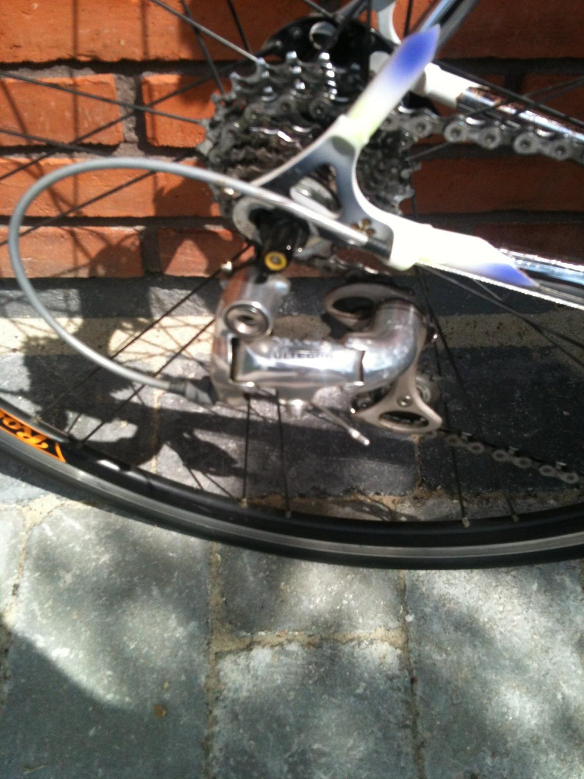 Colnago tecnos competition billede 11