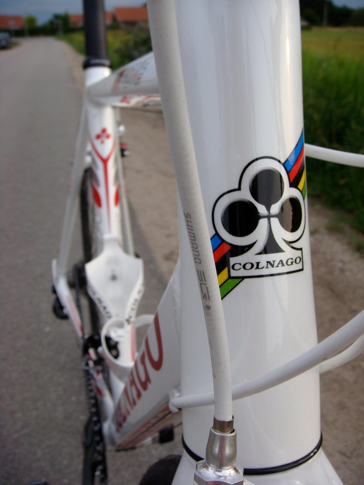 Colnago Move billede 3