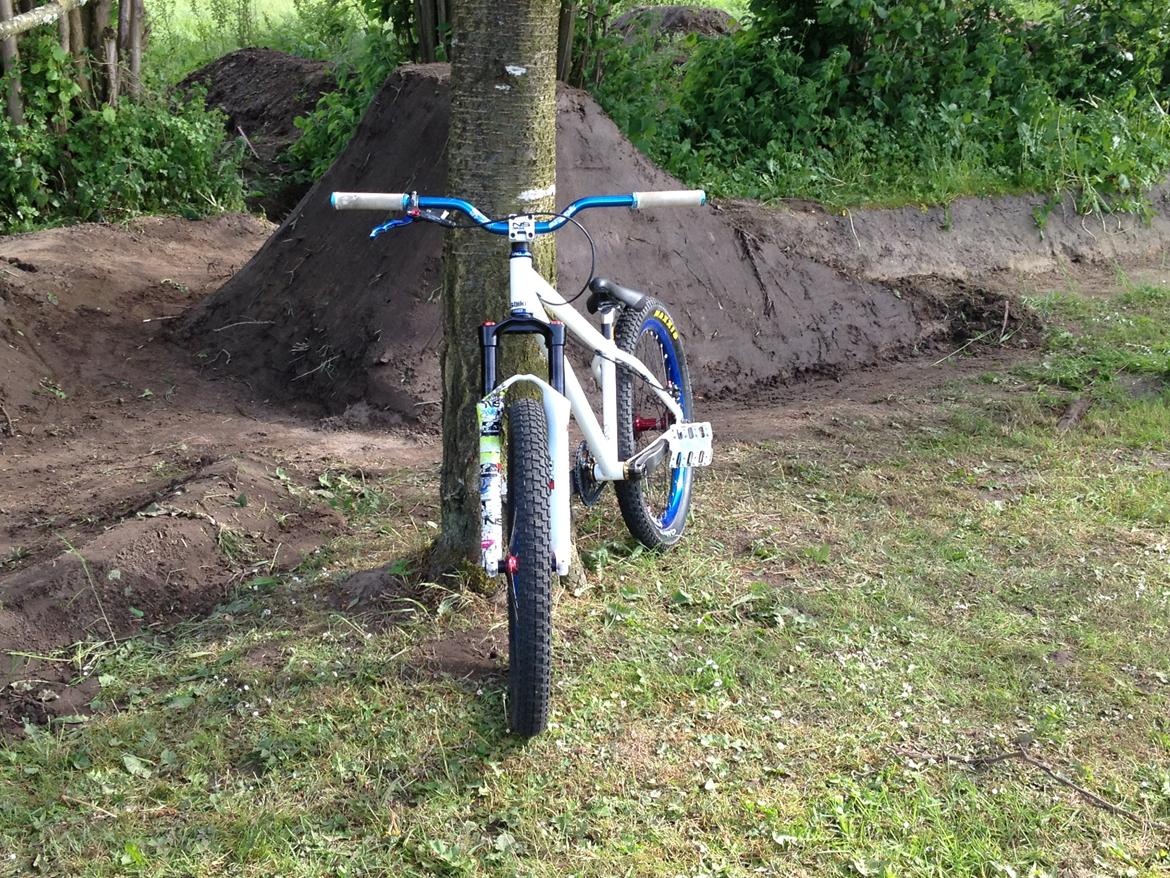 NS Bikes suburban limited pro edition 2008 billede 1