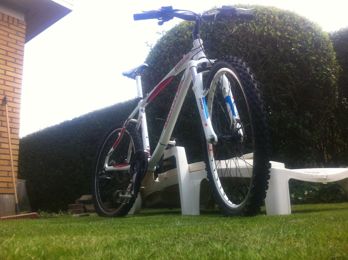 Bottecchia FX 530  2010 STJÅLET billede 8