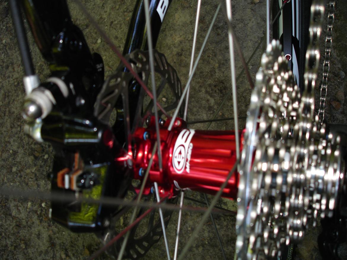 Bottecchia Reparto Crose 2012 GT Hansen billede 5