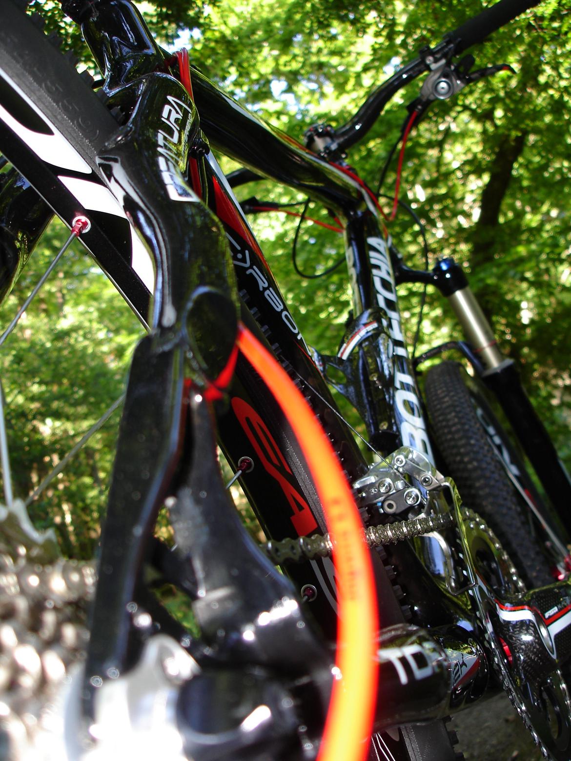 Bottecchia Reparto Crose 2012 GT Hansen billede 6