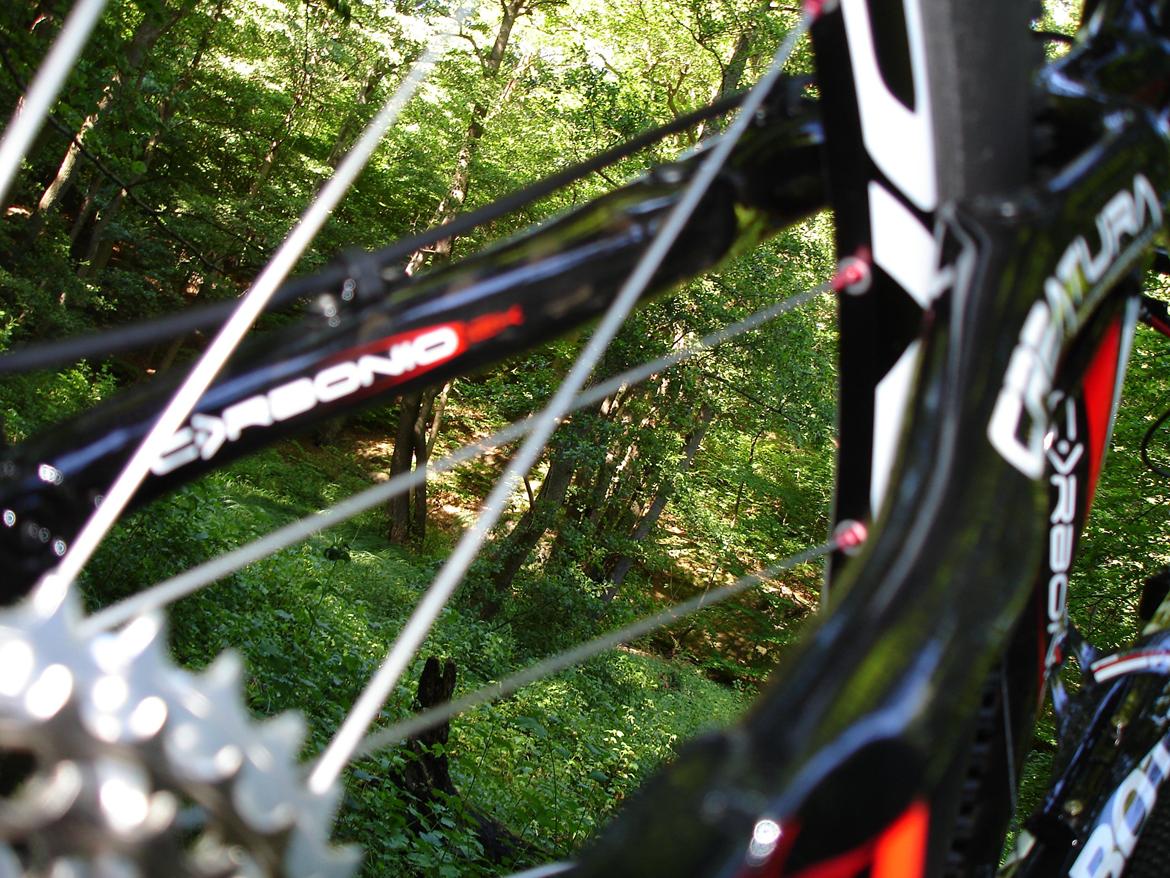 Bottecchia Reparto Crose 2012 GT Hansen billede 7