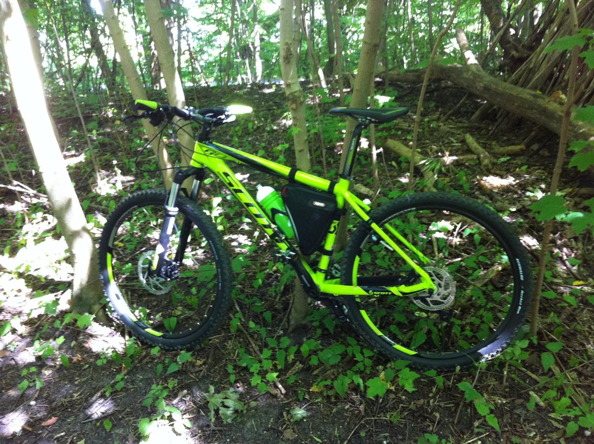 Scott Scale 60  2012 billede 2