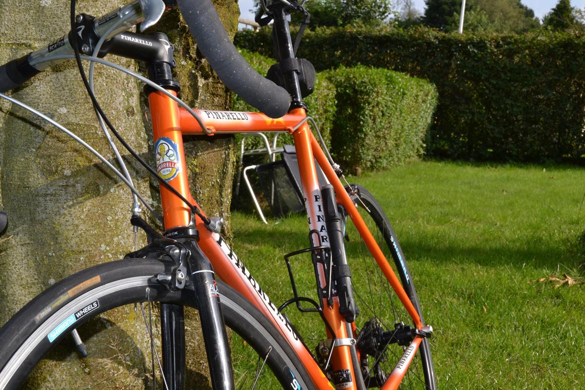 Pinarello Galileo billede 15