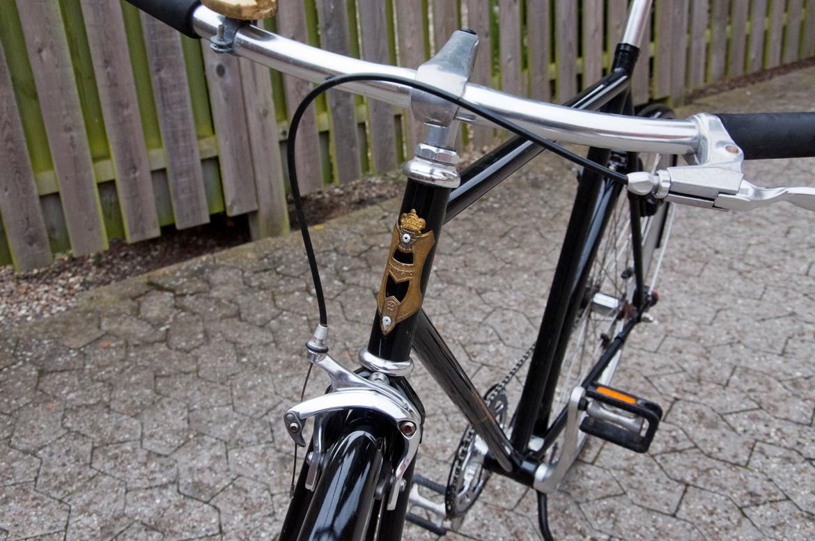 Viva Remington billede 1