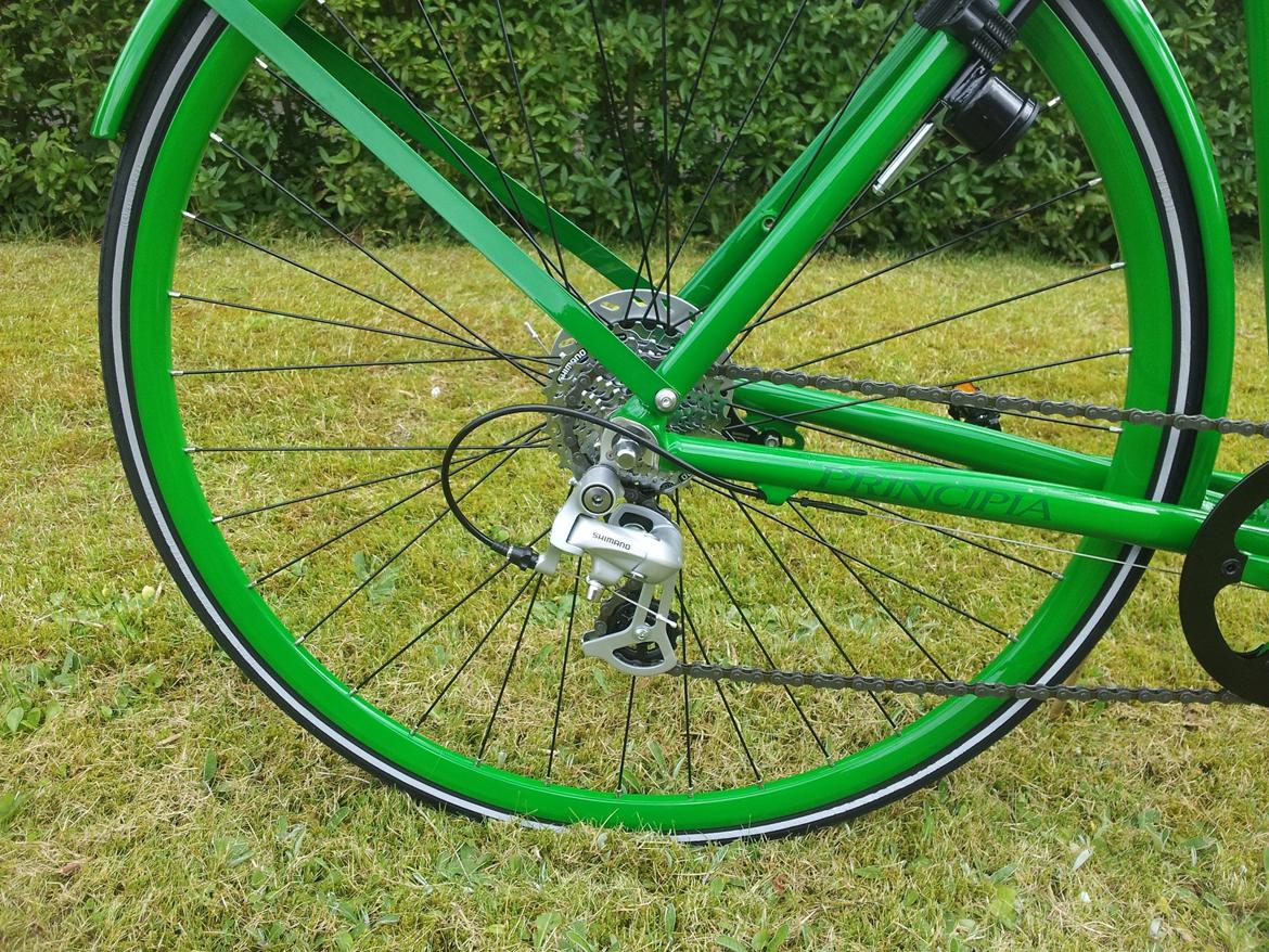 Principia Vola Roller billede 4