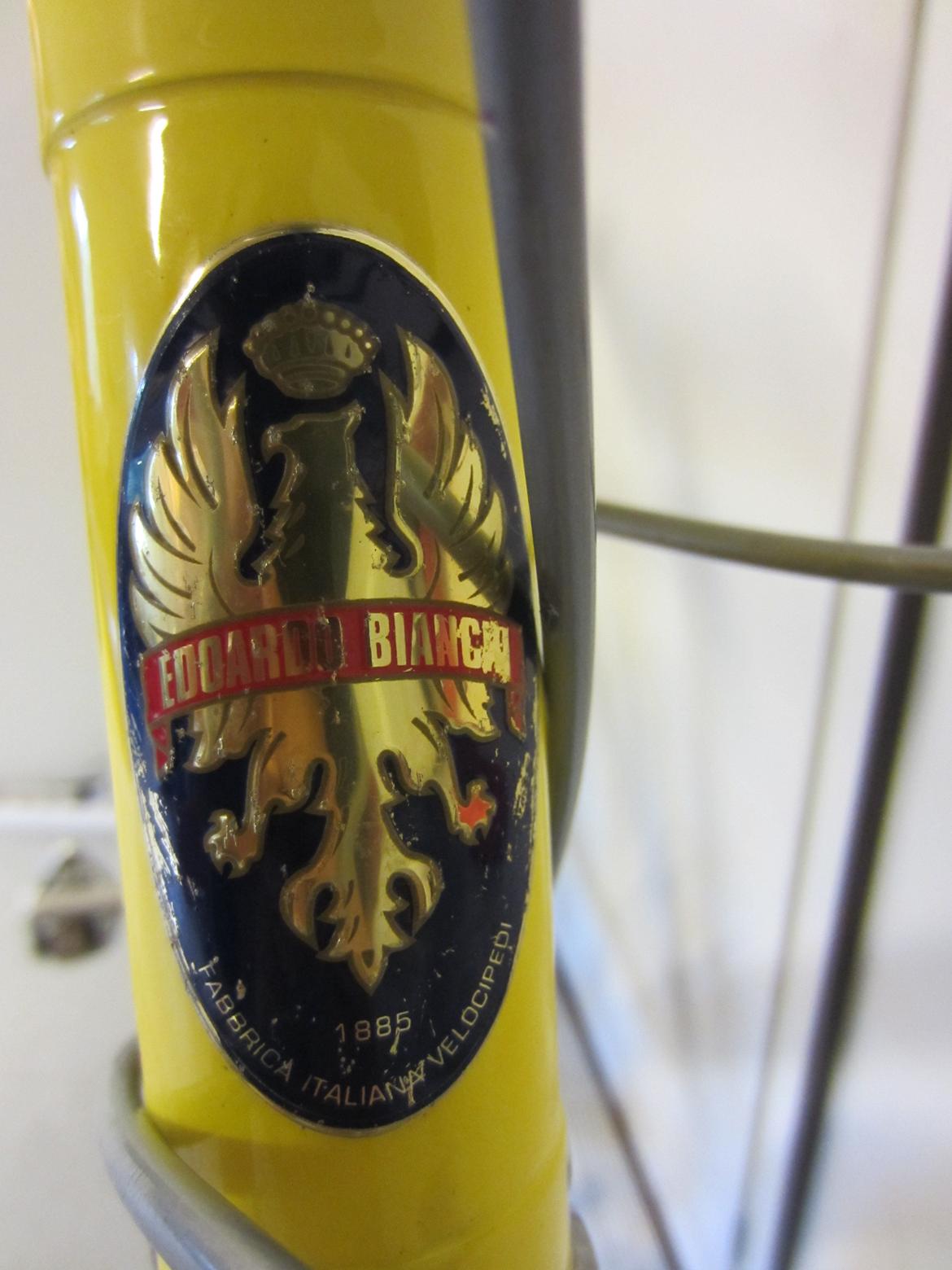 Bianchi Gold Race Team - Close-up Bianchi emblem billede 5