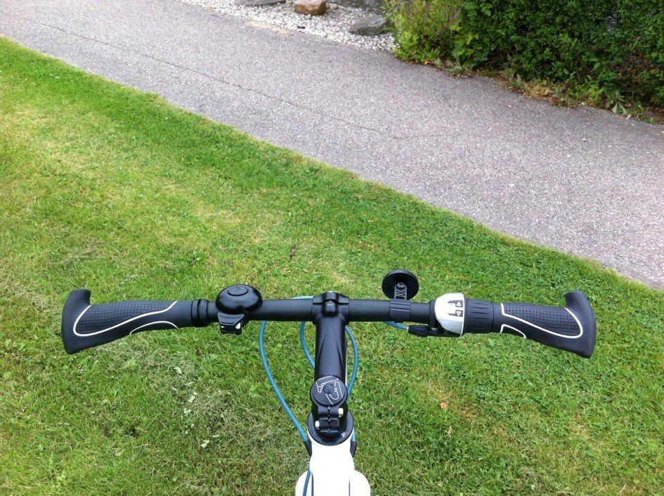 Batavus CS Excellence (solgt) billede 8