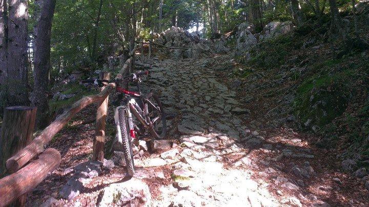 Panther PZ Racing billede 18