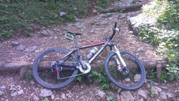 Panther PZ Racing billede 19