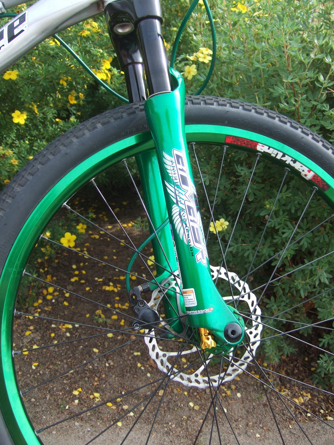 Banshee AMP billede 15