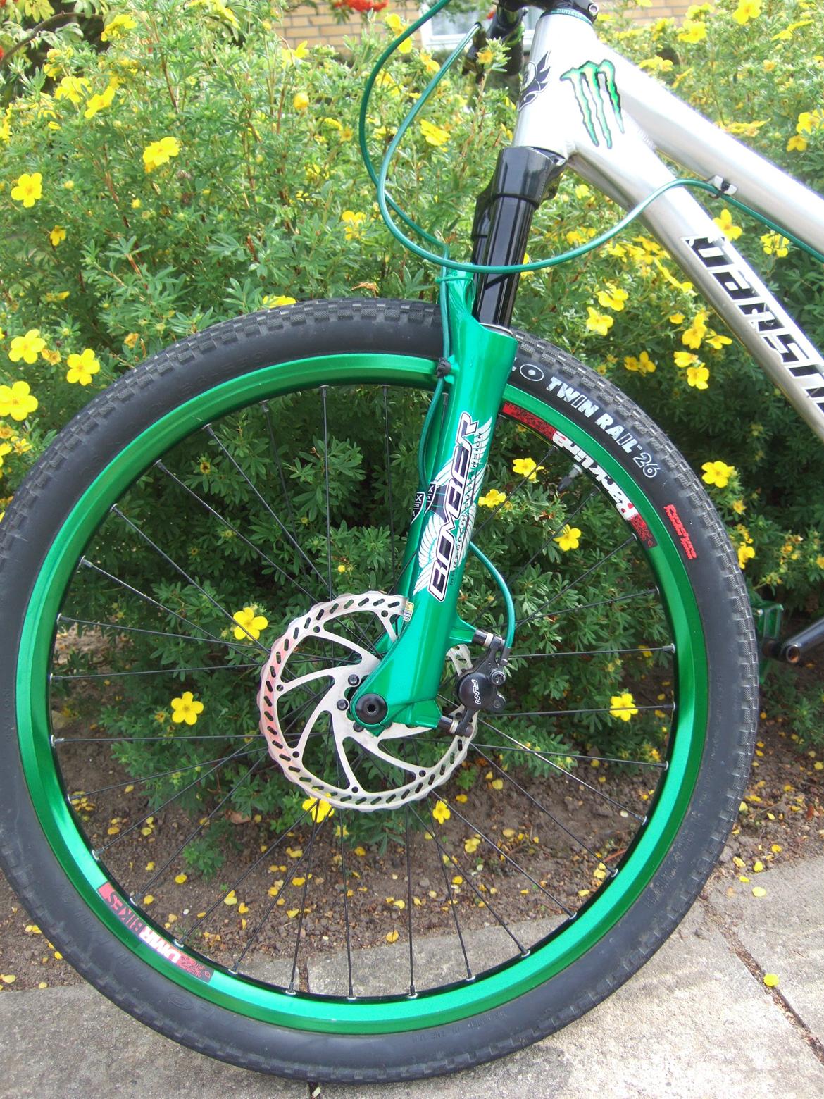 Banshee AMP billede 19