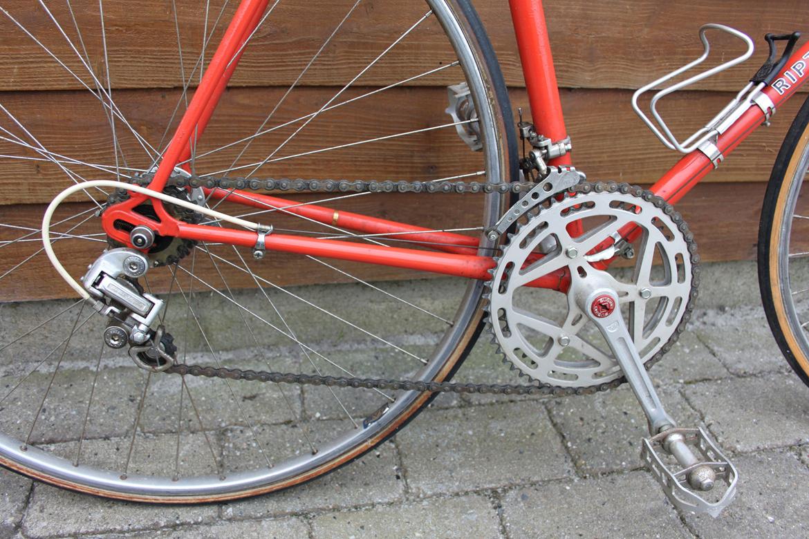 No-Name Ripty sport billede 6