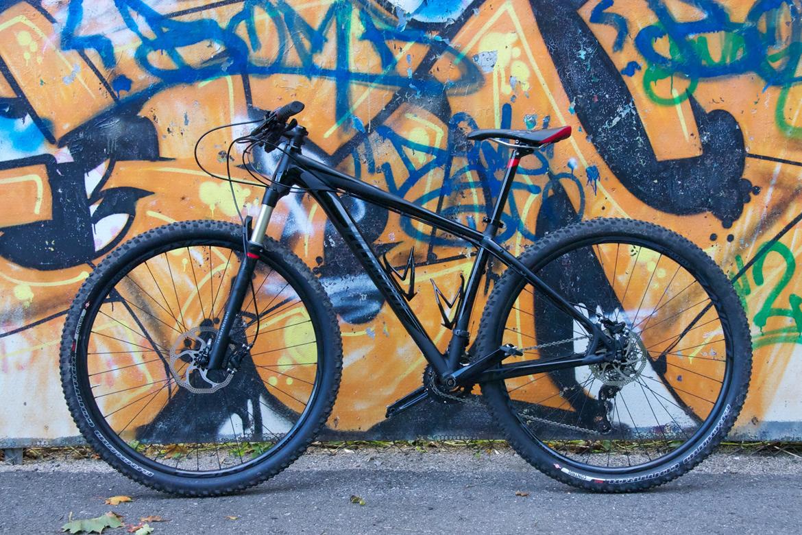 Specialized Carve Expert 29 billede 1