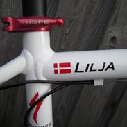 Specialized Hardrock xc