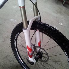 Vitus Escarpé 1