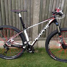 Focus raven 29"r  3.0