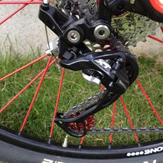 Focus raven 29"r  3.0