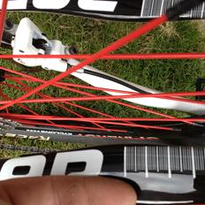 Focus raven 29"r  3.0