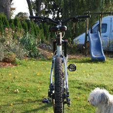 Kona Coilair