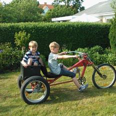 Schwinn Ombygget