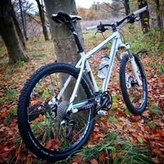 Radon ZR Team 7.0