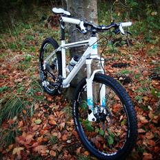 Radon ZR Team 7.0